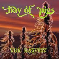 Bay Of Pigs : The Harvest